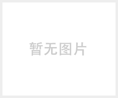 德国CTM电池，CTC110-12